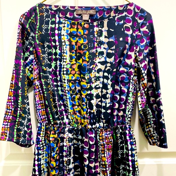 Charlie Jade Multicolor Abstract Boatneck 3/4 Sleeve Elastic Waist Lined Dress S - Picture 3 of 11